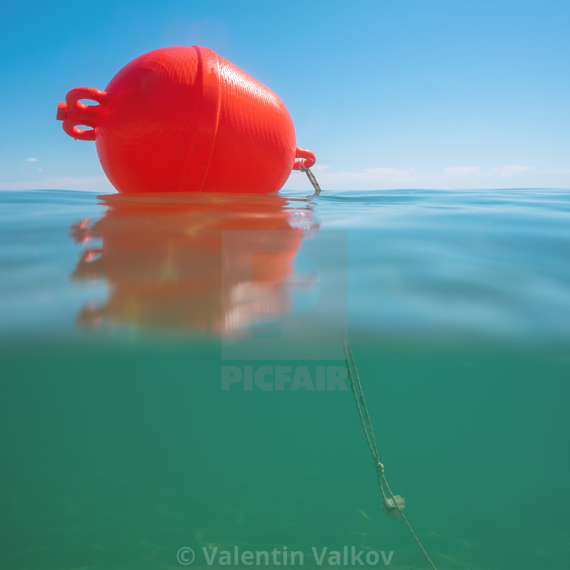 Buoy float on the sea water and underwater view License, download or